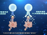 精准狙杀癌细胞！我国科学家突破T细胞识别瓶颈