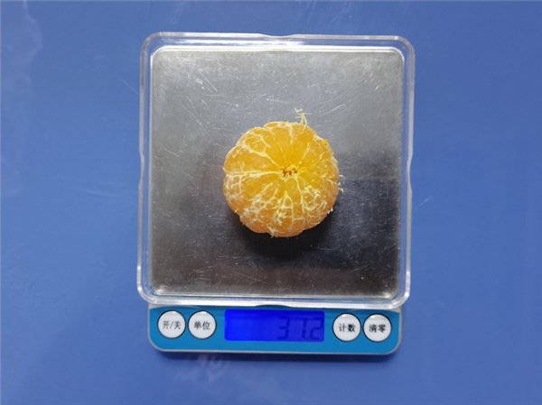 大砂糖橘 30 克左右（直径约 4.5 cm）。图片来源：作者提供