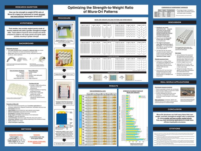 图 | 项目海报（来源：科学学会）