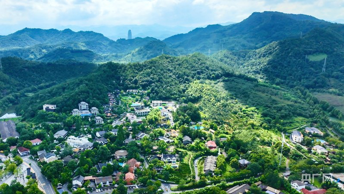 湖州市安吉县横山坞村隐于青山绿水间的民宿集群（央广网发  陈谷  摄）