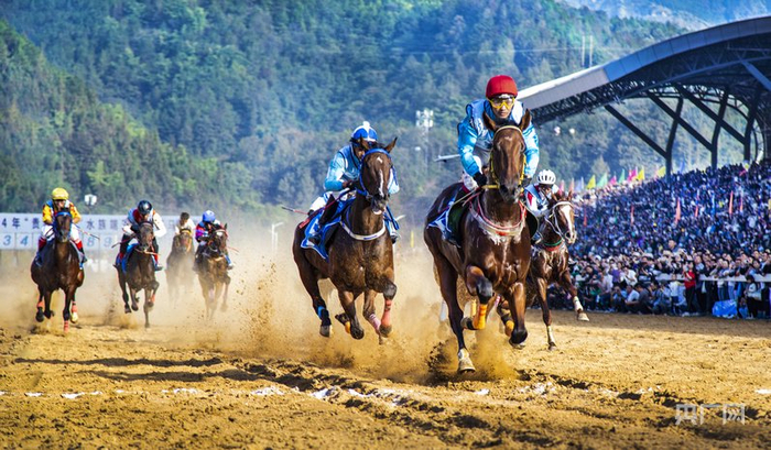 “贵州村马”活动现场骑手们策马扬蹄、奋勇争先（央广网发  刘青娟  摄）