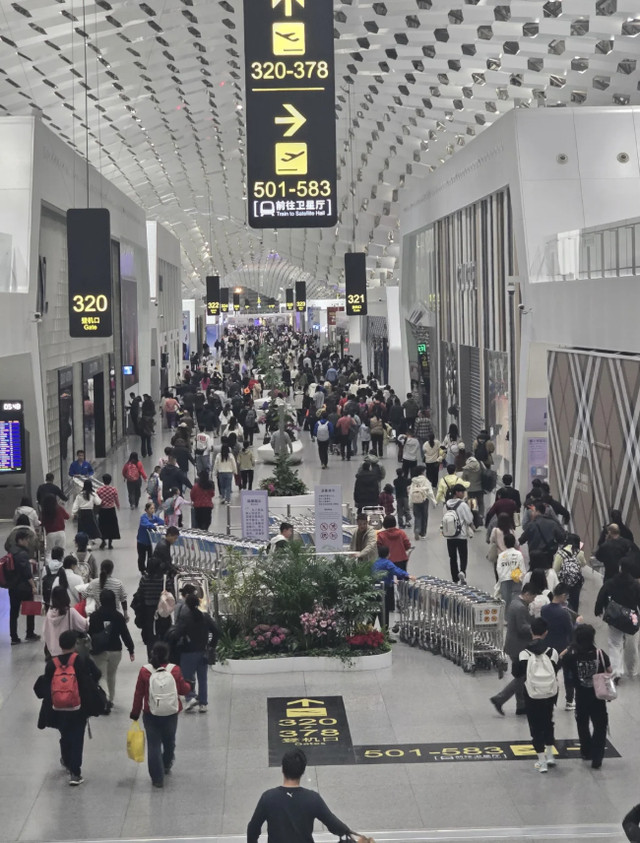 图：小红书用户@鎏鎏浪叮叮咚