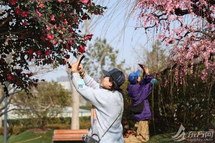 ​世博文化公园花影渐浓（图/柏可林）