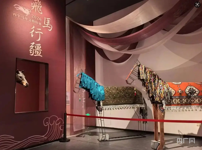 乌鲁木齐市博物馆推出的“飞马行疆——丙午马年文物特展”  （央广网发  巴丽根  摄）