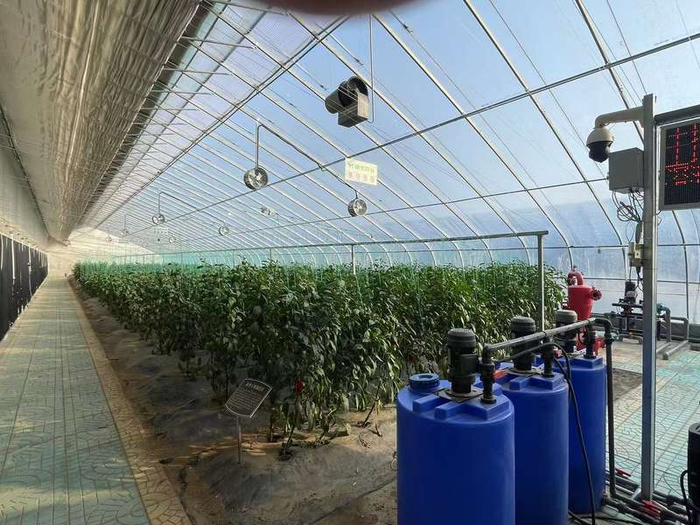 栾宏运研发的智能温室大棚。新京报记者 隋坤摄 