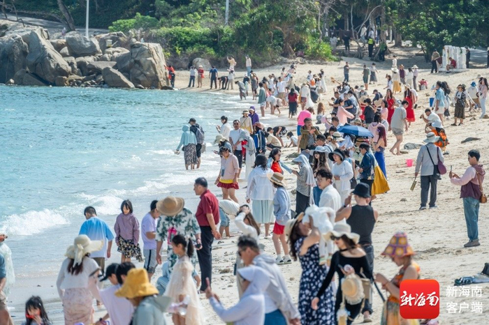 春节假期，游客在三亚蜈支洲岛旅游区游玩。受访者供图