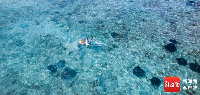 春节假期，游客在三亚蜈支洲岛旅游区体验魔鬼鱼互动。受访者供图