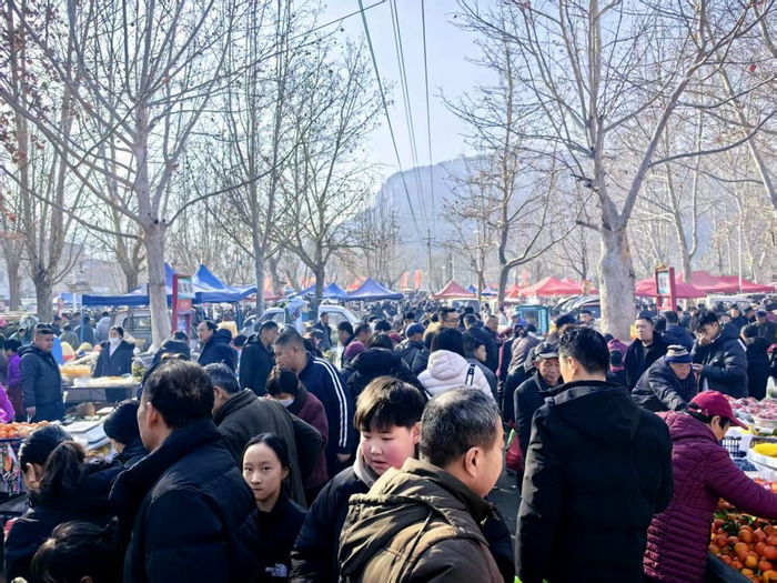 山东济南柳埠大集热闹非凡。新华社记者陈国峰 摄