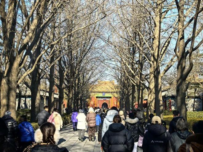 ▲ 雍和宫排长队进香祈福。图 / 视觉中国