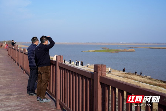 天气晴好，游客在洞庭湖畔悠然赏景、漫步。