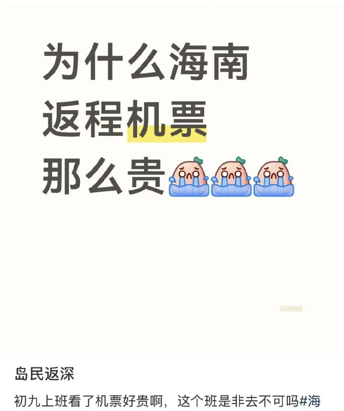 图源：小红书@无厘头海豹