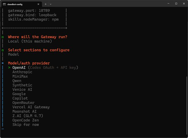 目前OpenClaw支持的大模型（图片来源：OpenClaw配置界面）