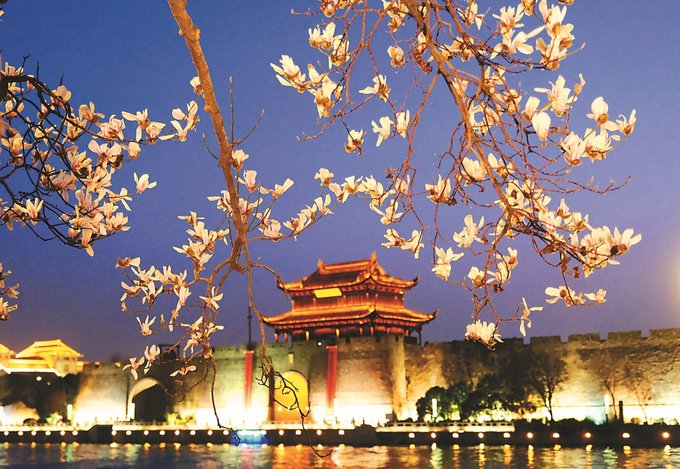 2月22日，天气晴暖，苏州古运河畔玉兰花开，吸引游客观赏。 王建中 摄 （视觉江苏网供图）