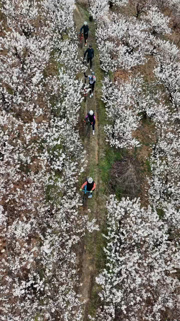 游客徜徉花径 凤春学 摄