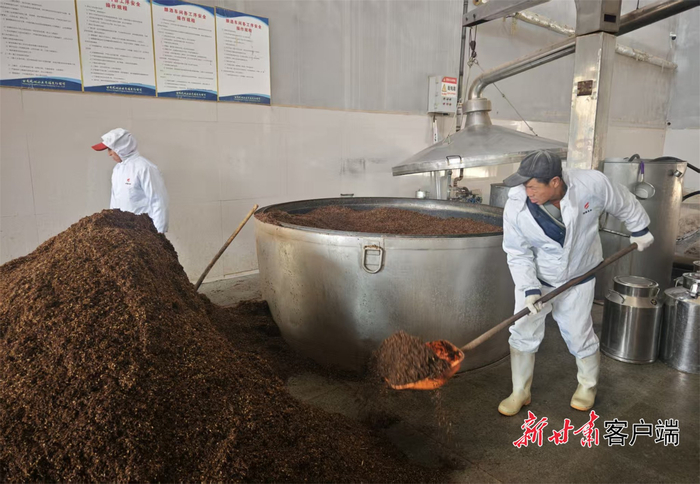 甘肃凤林酒业酿造车间。本文图片均由新甘肃·甘肃日报记者 田丽媛摄