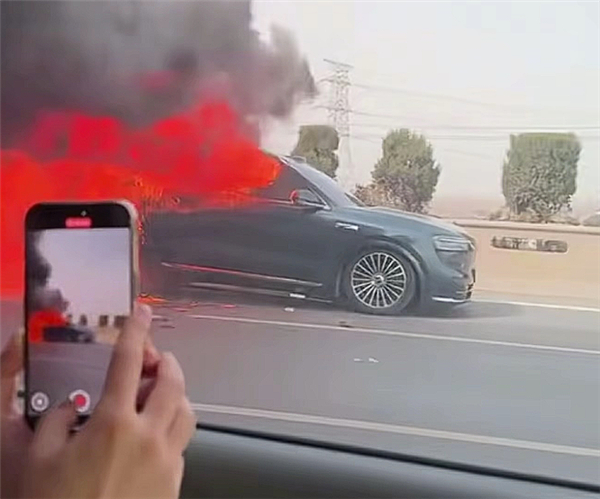 问界M7高速自燃现场