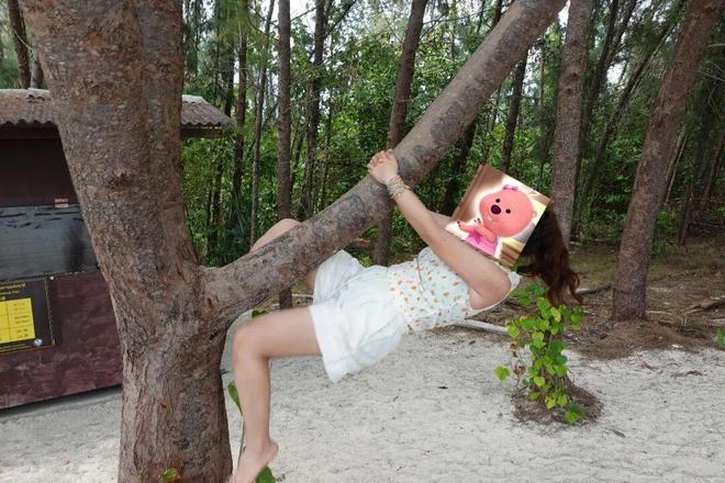 ▲西西在千问推荐的甲米岛旅行。图 / 讲述者提供