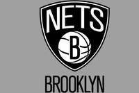 Stein：篮网VS独行侠原定周三上午进行 但因恶劣天气或将推迟