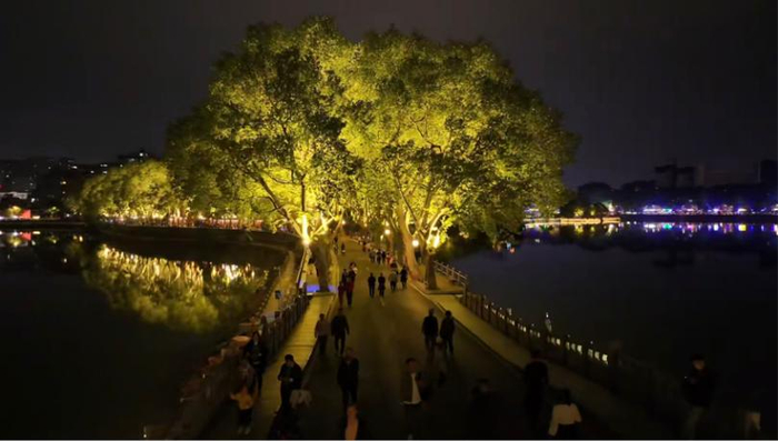 游客在夜幕下的李公堤游玩。何玲摄