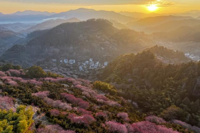 卖花渔村。樊成柱 摄