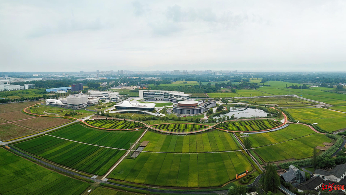 ▲天府现代种业园 资料图