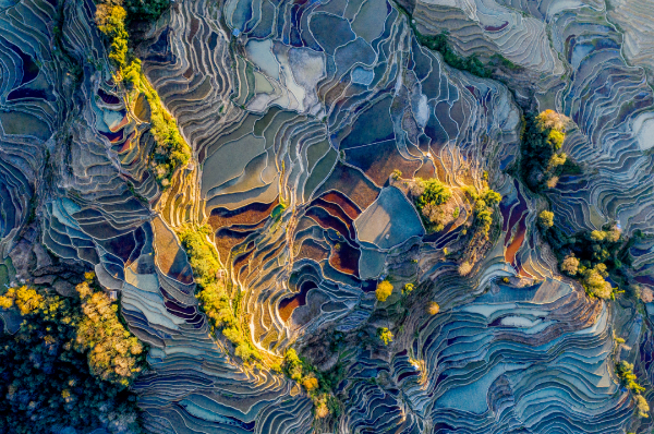 元阳哈尼梯田 沈少雄 摄