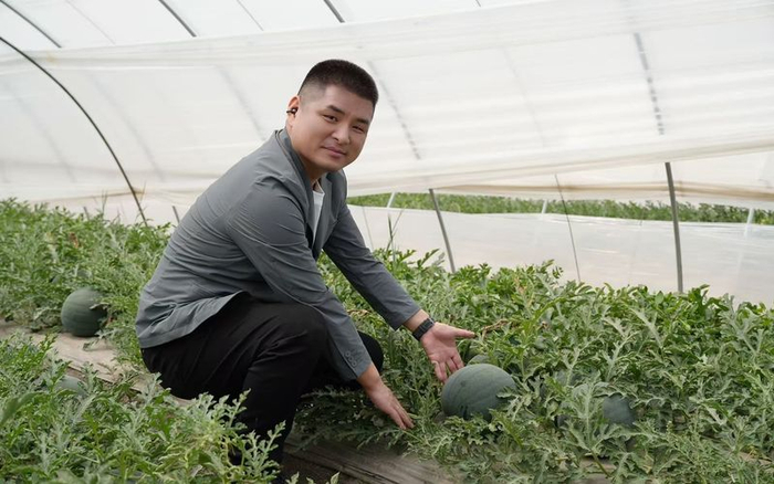 孙楠查看基地里的瓜果。受访者供图