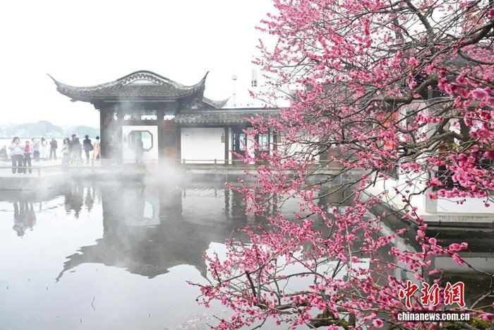 中新社记者 王刚 摄