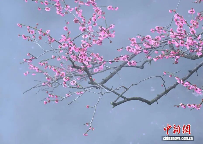 中新社记者 王刚 摄