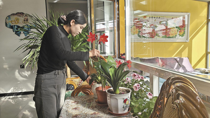 赵国梅正在查看家里的花。本报记者 杨红霞 摄