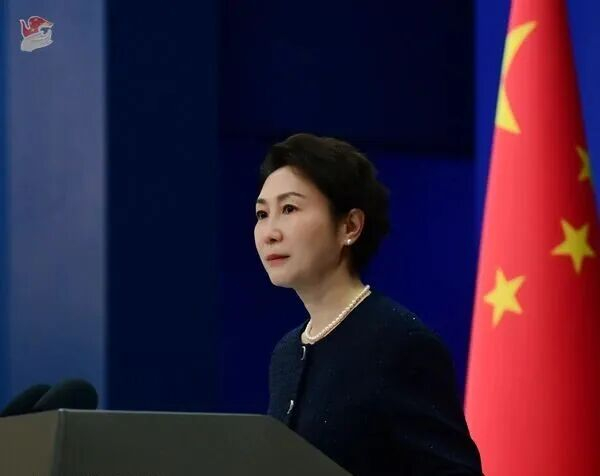 毛宁 资料图 图源：外交部网站