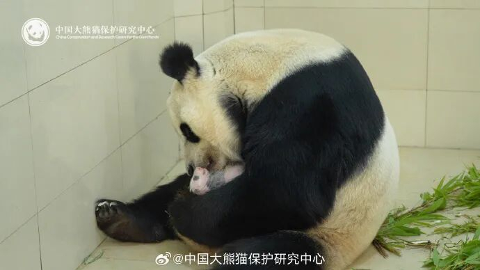 2025年7月，出生不久的