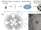 国产新型血流感染诊断芯片问世：成本仅 30 元，已完成初步临床验证