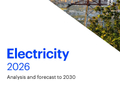 电力2026：分析与预测（至2030年）