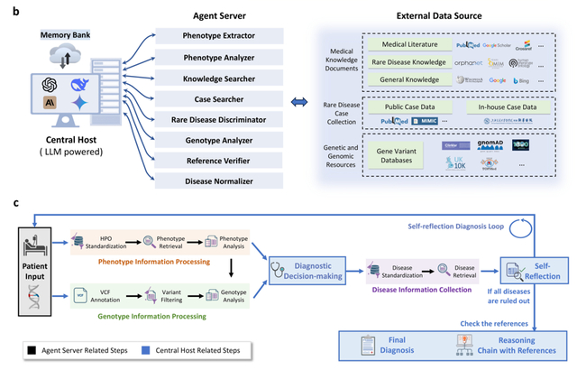 DeepRare系统推理架构图