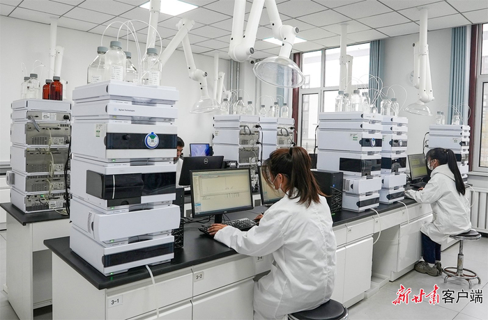 甘肃泰友生物科技有限公司工作人员正在分析实验数据。新甘肃·甘肃日报记者 冯乐凯摄