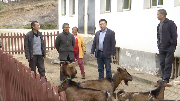汪其德了解村民养羊情况。