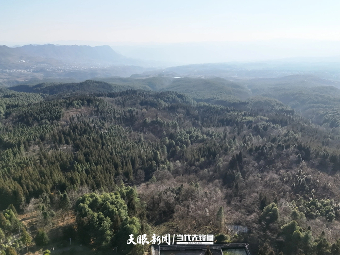 　　贵州毕节七星关区拱拢坪国有林场航拍图