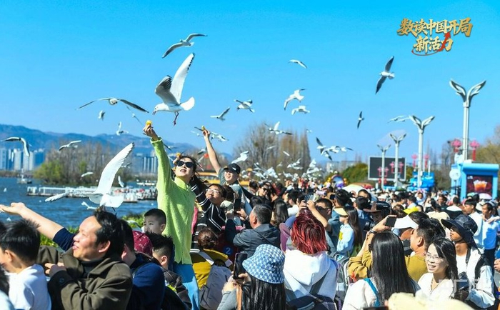 ��ش�ӹ�Ÿ�˳�ӿ����������� ������ �㣩