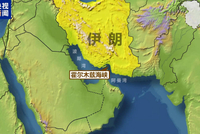 全球多家公司宣布暂停石油与燃料船只通过霍尔木兹海峡