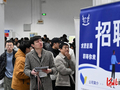 招才引智促就业