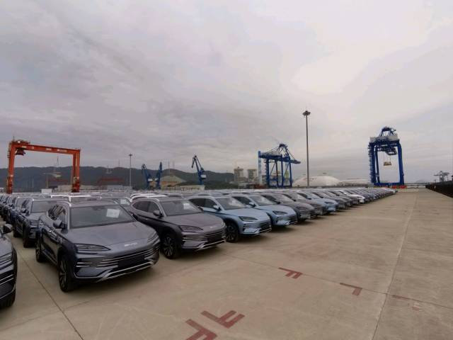 图为比亚迪深汕基地生产的宋plus出口车型。