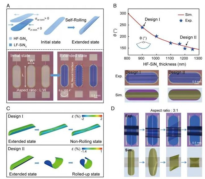 （来源：https://www.pnas.org/doi/10.1073/pnas.2521817123）