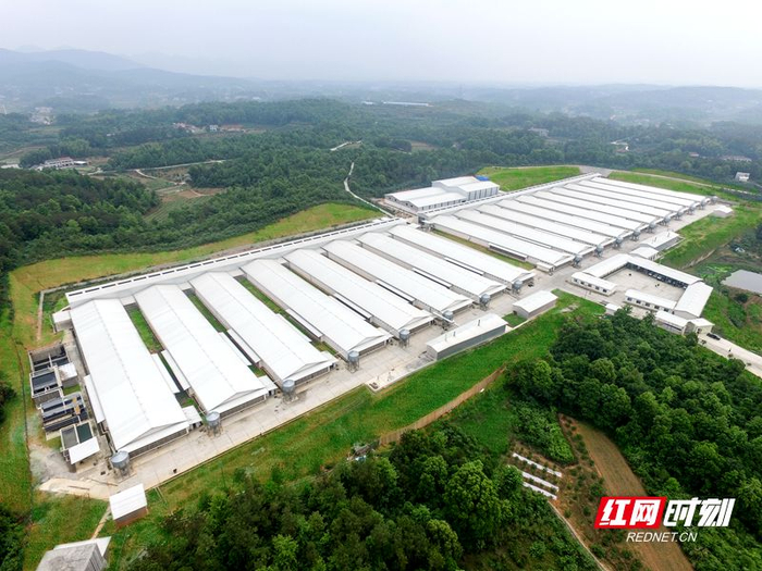 湘佳股份标准化养殖基地。