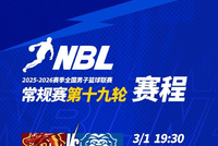 NBL常规赛第十九轮高价值场次：山东蜜獾VS江西鲸裕清酒