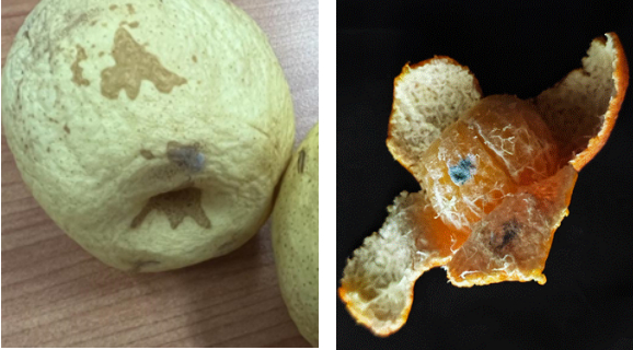 图源：中国疾控中心