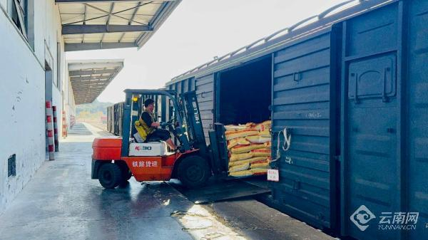 云南铁路积极拓展化肥运输 