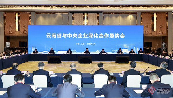 3月2日，云南省与中央企业深化合作恳谈会在北京举行。胡妤雅 摄