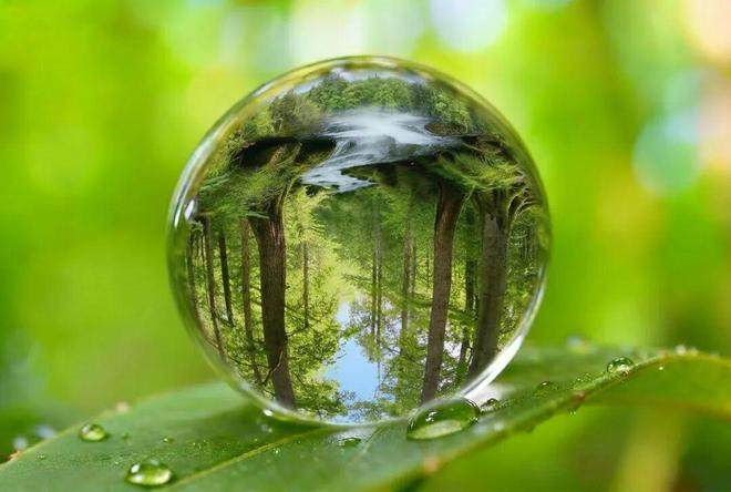 图注：镜像生物学世界蕴含着近乎无限可能：从生物学结构、功能到生命本身，无论利弊，理论上均可在镜像版本中重现。