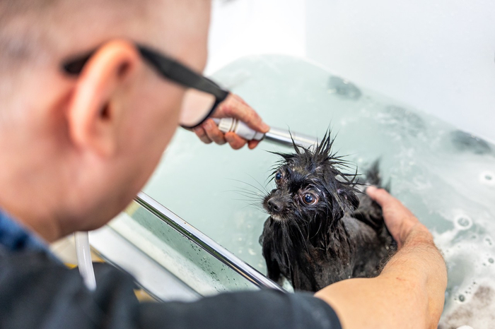 图源：图虫创意